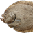 大菱鲆